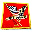 American Flag Patch~Eagle Patch~Bald Eagle and The American Flag [Apparel]