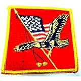 American Flag Patch~Eagle Patch~Bald Eagle and The American Flag [Apparel]