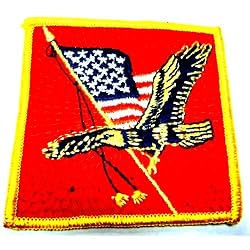 American Flag Patch~Eagle Patch~Bald Eagle and The American Flag [Apparel]