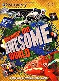 Discover the awesome world