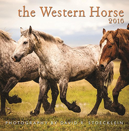 2016 Western Horse Wall Calendar