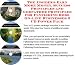 Book The Guru's How To Earn Extra Money, Marketing and Inner Game for Flyfishing Rods Biz 3 CD Package