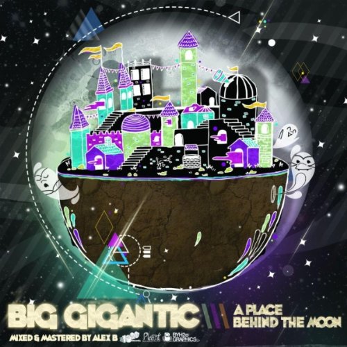 Big Gigantic Picture 1