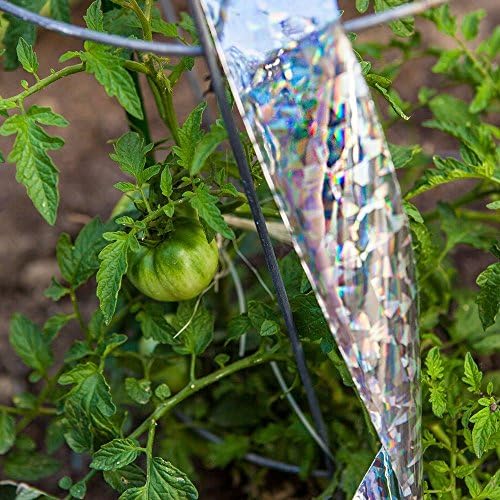 Bird Repellent Scare Tape - Reflective Flash Tape Protects Your Garden and Yard from Flying Pests - XXL 150 ft long, 2 inch wide Holographic Double-Sided Ribbon - Cruelty Free, Durable, and Reusable - Highly Effective Bird Deterrent - Protect Your Crops, Fruit Trees, Garden and Property From Damage Caused By Birds