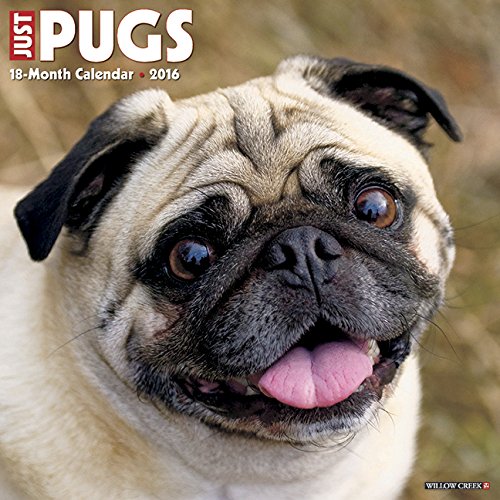 2016 Just Pugs Wall Calendar