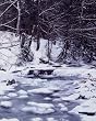 Cold New England Stream - Distinctive 16x20-inch Photographic Print by Carol M. Highsmith