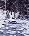 Cold New England Stream - Distinctive 16x20 Photographic Print by Carol M. Highsmith