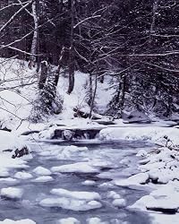 Cold New England Stream - Distinctive 16x20 Photographic Print by Carol M. Highsmith