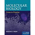 Detalles del producto