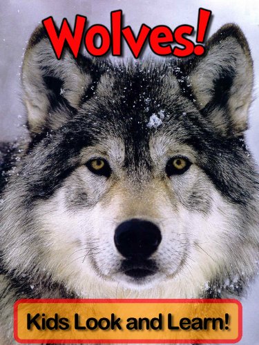 Wolves! Learn About Wolves and Enjoy Colorful Pictures - Look and Learn! (50+ Photos of Wolves)