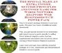 The Insider's How To Earn Extra Money, Marketing and Success Principles for Wired Network Adaptors Web Biz 3 Course + Resource Guide