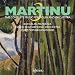 Martinu: Complete music for violin & orchestra, Vol. 3