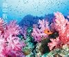 海中散歩