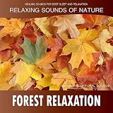 Healing Sounds for Deep Sleep and Relaxation Forest Relaxation: Relaxing Sounds of Nature