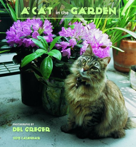 A Cat in the Garden 2015 Calendar