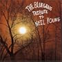 Bluegrass Tribute to Neil Young