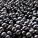 Good For You Foods Organic Acai Powder