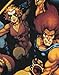 Official Thundercats Group Men's T-Shirt