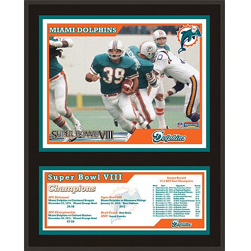 Mounted Memories Miami Dolphins 12x15 Sublimated Plaque - Super Bowl VIII