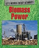Biomass power
