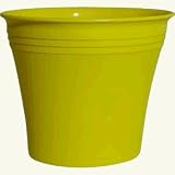 Rush Creek Designs PIM2021018312 Aspen Planter - B0032YYYD0