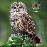 Owls Wall (BROWNT) - 2008 Calendar