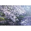 Imperial Garden with Swans Outdoor Art by Beth Hoselton - 37x24"