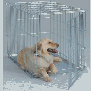 General Cage 405 Valu Line Collapsible 42 Inch Dog Crate - Silver Finish