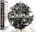 Scar Symmetry-Untitled