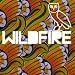 Drake - Wildfire (Remix) (SBTRKT ft. Yukimi) [NEW MAY 2011] [HD/DL LINK]