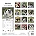 Keeshond Calendar - Breed Specific Keeshond Calendar - 2015 Wall calendars - Dog Calendars - Monthly Wall Calendar by Avonside