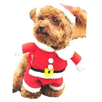 【クリックで詳細表示】【 サイズ 選択可 】 犬 猫 用 クリスマス 服 サンタクロース コスプレ 衣装 ニット サンタ (L)： ペット用品