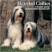 Bearded Collies 2010 Wall Calendar