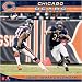 Chicago Bears 2008 Wall Calendar