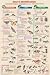 INSECT IDENTIFICATION - 24x36 - ART PRINT / POSTER