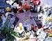 Frank Sinatra Hollywood Walk of Fame Star Photograph - Beautiful 16