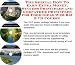The Secret How To Earn Extra Money, Marketing and Success Principles for Food Ideas Web Biz 3 Course + Resource Guide