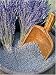Tools & Hardware : French Lavender Super Blue - Loose Flower Buds - Per Pound