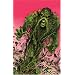 Swamp Thing, Vol. 8: Spontaneous Generation