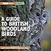 A Guide to British Woodland Birds (BBC Audio)