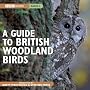 A Guide to British Woodland Birds (BBC Audio)