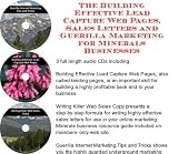 The Guerilla Marketing, Building Effective Lead Capture Web Pages, Sales Letters for Bath Minerals and Salts Businesses