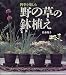 『四季を楽しむ 野の草の鉢植え』の写真