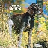 German Wirehaired Pointers 2009 Square Wall Calendar