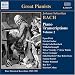 Piano Transcriptions Vol. 2