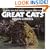 Great Cats: Stories and Art from a World Traveller