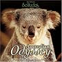 Australian Odyssey ~ Dan (Solitude Gibson