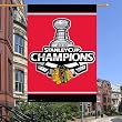 Chicago Blackhawks 2010 Stanley Cup Champions Vertical Flag: 27x37 Banner