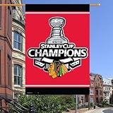 Chicago Blackhawks 2010 Stanley Cup Champions Vertical Flag: 27x37 Banner