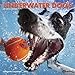 Underwater Dogs 2015 Mini Calendar